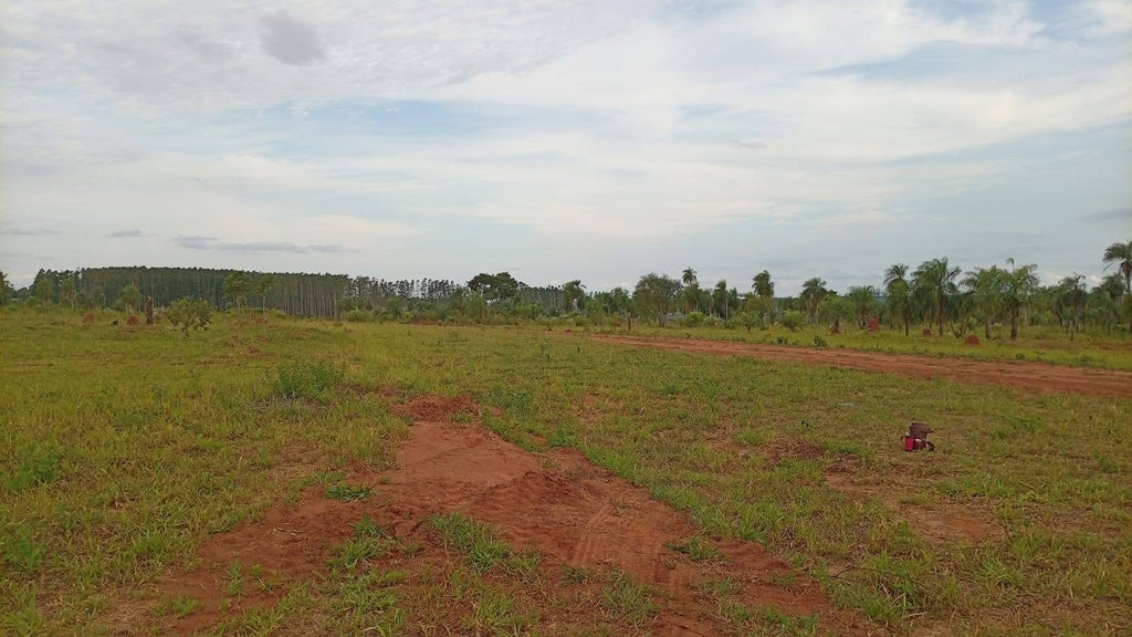 Lotes de 360 m² en Caaguazú – Ubicación estratégica cerca de universidades