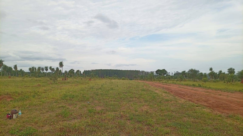 Lotes de 360 m² en Caaguazú – Ubicación estratégica cerca de universidades