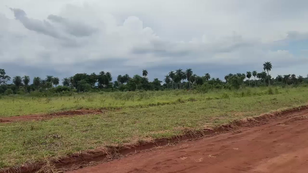Lotes de 360 m² en Caaguazú – Ubicación estratégica cerca de universidades