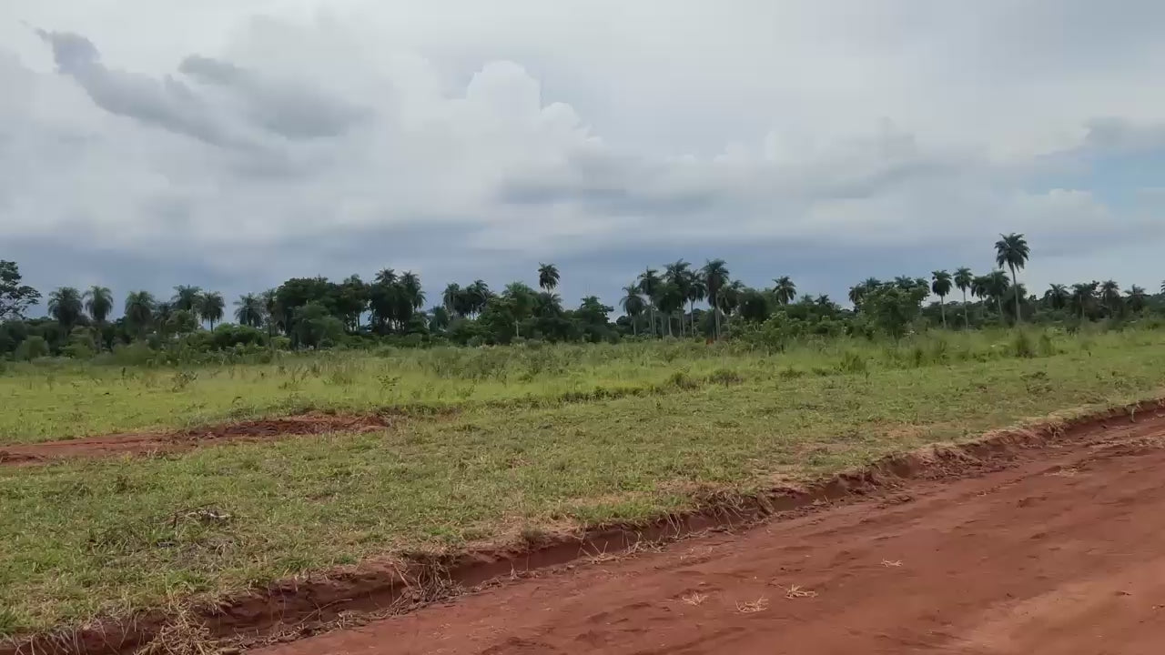 Lotes de 360 m² en Caaguazú – Ubicación estratégica cerca de universidades